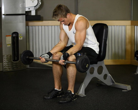 Seated Palm-Up Barbell Wrist Curl